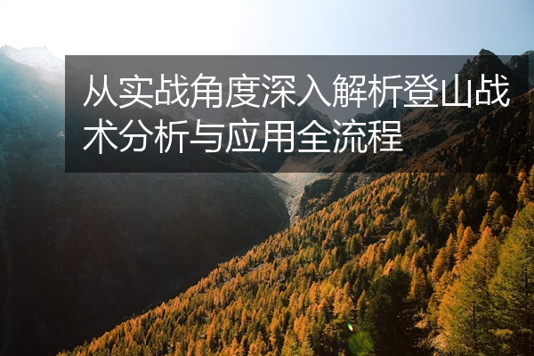 从实战角度深入解析登山战术分析与应用全流程